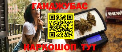 jwh Бийск
