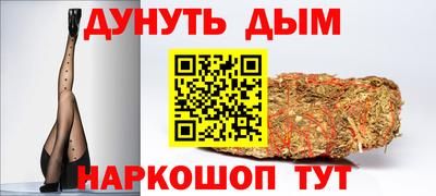 jwh Бийск