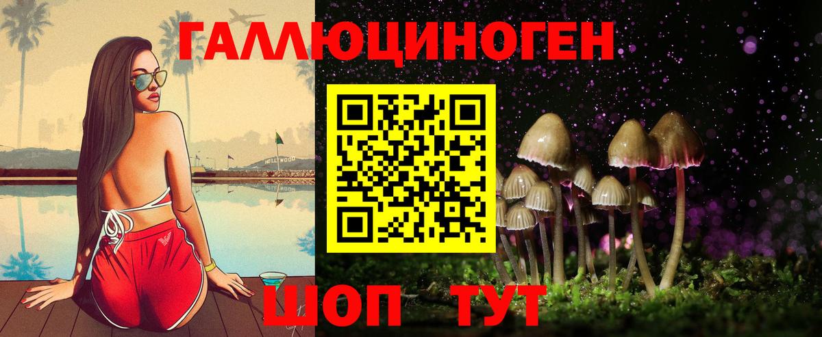 Зима  Псилоцибиновые грибы MAGIC MUSHROOMS  Вход с VPN 