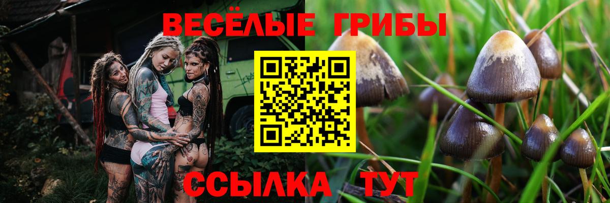 Псилоцибиновые грибы Magic Shrooms Зима